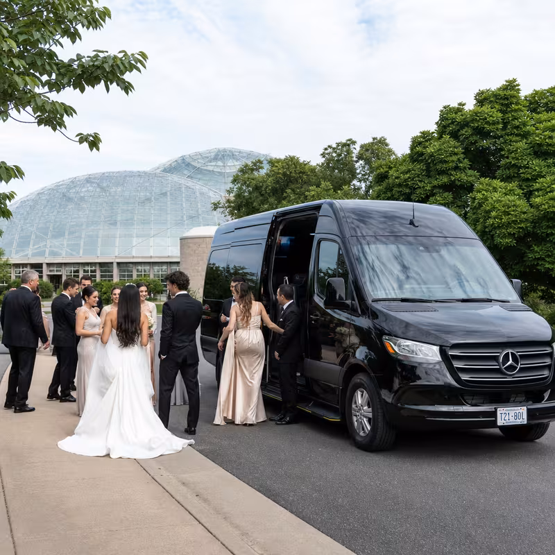 Wedding transportation